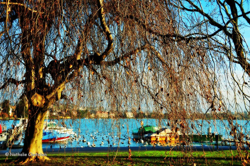 Morges-hiver.JPG
