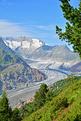 glacier-d'Aletsch.JPG