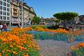 jardin-urbain-Lausanne.JPG