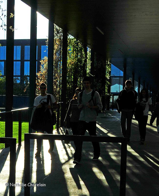 gymnase-Morges.JPG